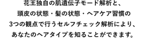 花王独自の肌遺伝子モード解析と、頭皮の状態・髪の状態・ヘアケア習慣の3つの観点で行うセルフチェック解析により、あなたのヘアタイプを知ることができます。