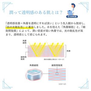 アルブラン　ザ　ローションⅡ