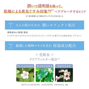 アルブラン　ザ　ローションⅡ　レフィル（つめかえ用）