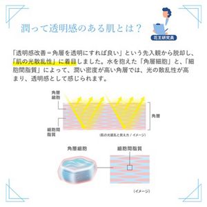 アルブラン　ザ　ＵＶエマルジョンⅣ