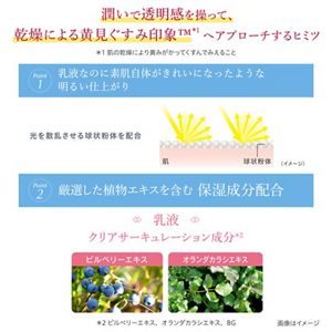 アルブラン　ザ　ＵＶエマルジョンⅣ