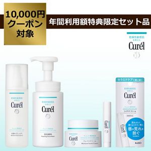 キュレル　ベーシックスキンケアセット(クリーム＆リップ)