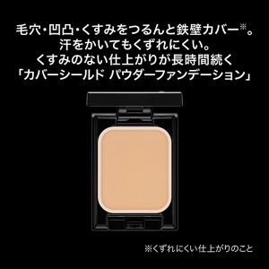 ケイト　カバーシールド　パウダーファンデーション　０２
