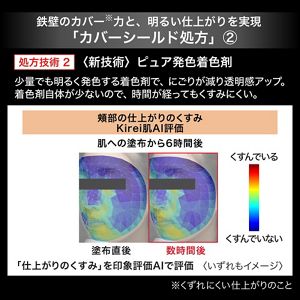 ケイト　カバーシールド　パウダーファンデーション　０２
