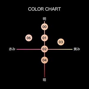 ケイト　カバーシールド　パウダーファンデーション　０２