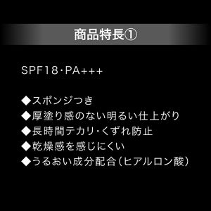ケイト　カバーシールド　パウダーファンデーション限定セット　０２