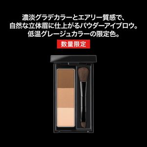 ケイト　デザイニングアイブロウ３Ｄ　ＥＸ－１２