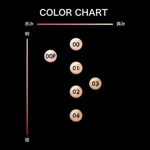 ケイト　ジュレリープファンデーション　００Ｐ　＜レフィル＞　