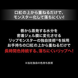 ケイト　リップモンスターカラートナー　ＥＸ－３