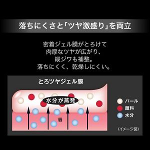 ケイト　リップモンスター　ツヤバース　ＥＸ－１