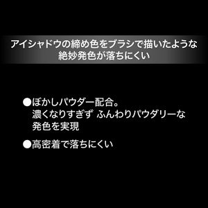 ケイト　パウダリーナギナタライナー　ＢＫ－１