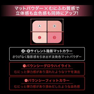 ケイト　バウンシーチークシャドウ　ＥＸ－１