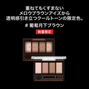 ケイト メロウブラウンアイズ EXー3 | 花王公式通販 【My Kao Mall】