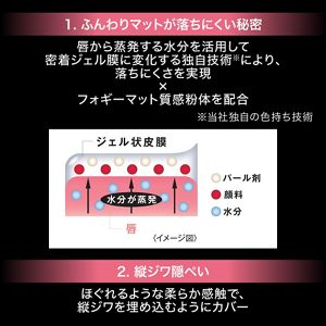 ケイト　リップモンスター　フォグマット　ＥＸ－２