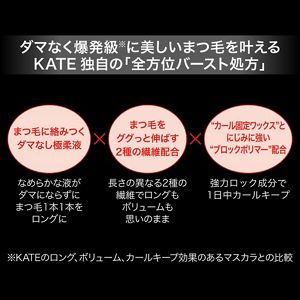 ケイト　ラッシュバースト　ＢＫ－１　（ＮＡ）