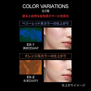 ケイト　トランスフォームチーク　ＥＸ－２