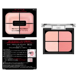 【予約限定】ケイト　中条あやみさんポスタービジュアルメイクセット