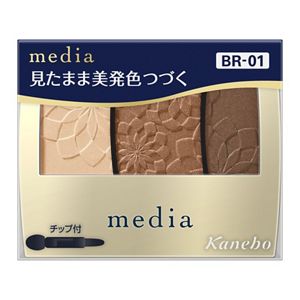 メディア　グラデカラーアイシャドウＮ　ＢＲ－０１