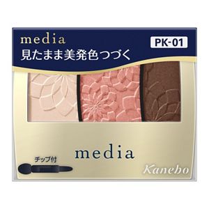 メディア　グラデカラーアイシャドウＮ　ＰＫ－０１