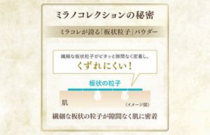 ミラノコレクション フェースアップパウダー2025 | 花王公式