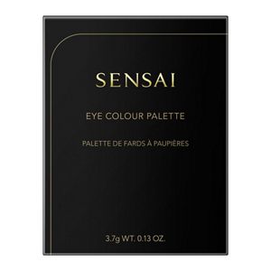センサイ　アイカラーパレット　０１