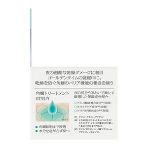 ソフィーナ　ｉＰ　ゴールデンタイムリペア　深夜浸透クリーム　ＢＩＧ　企画品