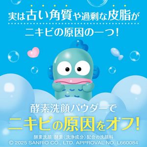 スイサイ　ビューティクリア　グリーン　パウダーウォッシュ　ＳＡ