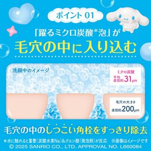 スイサイ　ビューティクリア　ピーリング　パウダーウォッシュ　ＳＡ