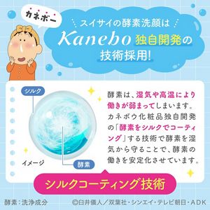 スイサイ　ビューティクリア　ペーストウォッシュ　ＣＳ