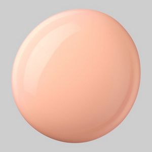 トワニー センチュリー ザ・ファンデーションa オークル－R | 花王
