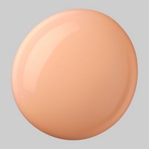 トワニー　センチュリー　ザ・ファンデーションａ　オークル－Ｄ