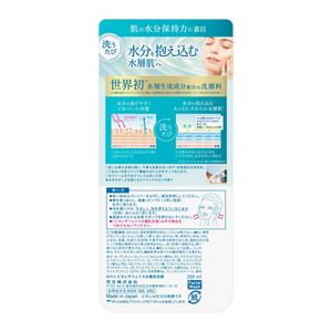 ビオレ　ザフェイス　水層肌洗顔　本体　チェーン限定品　２００ｍｌ