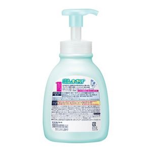 ビオレｕ泡で出てくるボディウォッシュすっきりポンプ　６００ｍｌ