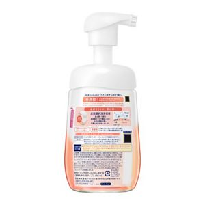 ビオレ　ザ　ボディ　ととのい肌　泡タイプ　フルーティ＆ムスクの香り　ポンプ　４８０ｍｌ