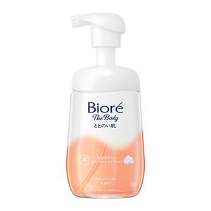 ビオレ　ザ　ボディ　ととのい肌　泡タイプ　フルーティ＆ムスクの香り　ポンプ　４８０ｍｌ