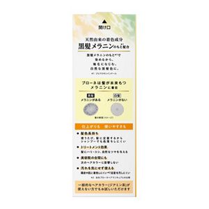 ブローネ ナチュリラ カラートリートメント ブラック つけかえ用