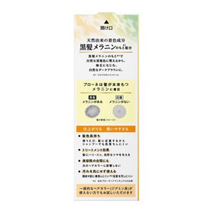 ブローネ ナチュリラ カラートリートメント ダークブラウン つけかえ用