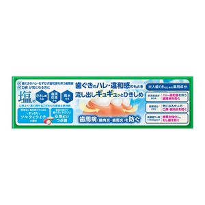 ディープクリーン　薬用ハミガキ　ひきしめ塩　９５ｇ