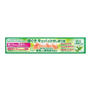 ディープクリーン　薬用ハミガキ　１００ｇ
