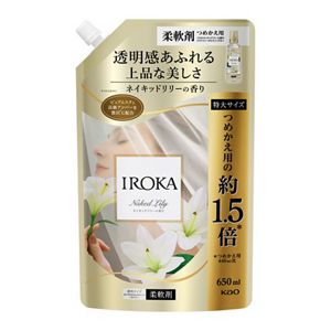 ＩＲＯＫＡ　ネイキッドリリー　スパウト　６５０ｍｌ