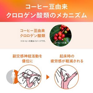 花王ライフケア研究所　THE SLEEP　３０日分