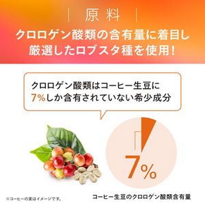 花王ライフケア研究所　THE SLEEP　３０日分