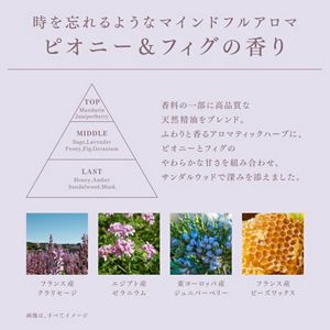 メルト　スムーストリートメント　つめかえ用　３８０ｍｌ