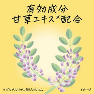 メリット　シャンプー　ポンプ　４５０ｍｌ