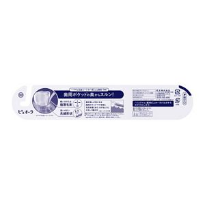 ピュオーラ　歯周ポケットＰＲＯ　２本入