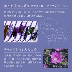 セグレタプレミア　凝縮美容液シャンプー＆質感変化トリートメントセット