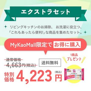 引越しスターターセット　エクストラセット