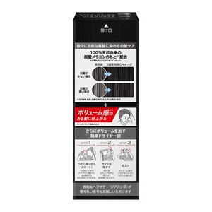 サクセスブラックふんわり仕上がるカラートリートメント本体
