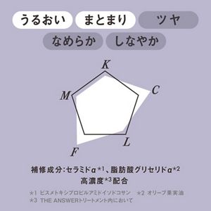 ＴＨＥ　ＡＮＳＷＥＲ　ＥＸモイストトリートメント　ＦＯＲ　ＤＡＩＬＹ　ＤＡＭＡＧＥ　２２０ｇ