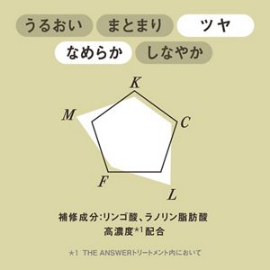 ＴＨＥ　ＡＮＳＷＥＲ　ＥＸグロストリートメント　ＦＯＲ　ＨＥＡＴ　ＤＡＭＡＧＥ　２２０ｇ